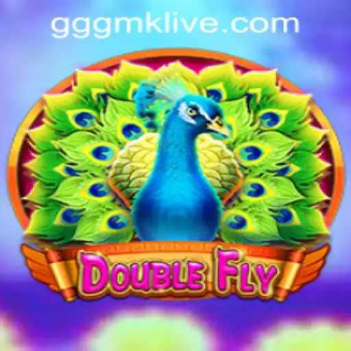 DoubleFly: A New Era of Arcade Excitement
